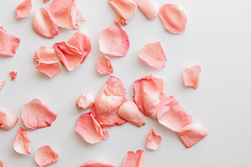 Can You Smoke Rose Petals? Yes, You Can. Here's How